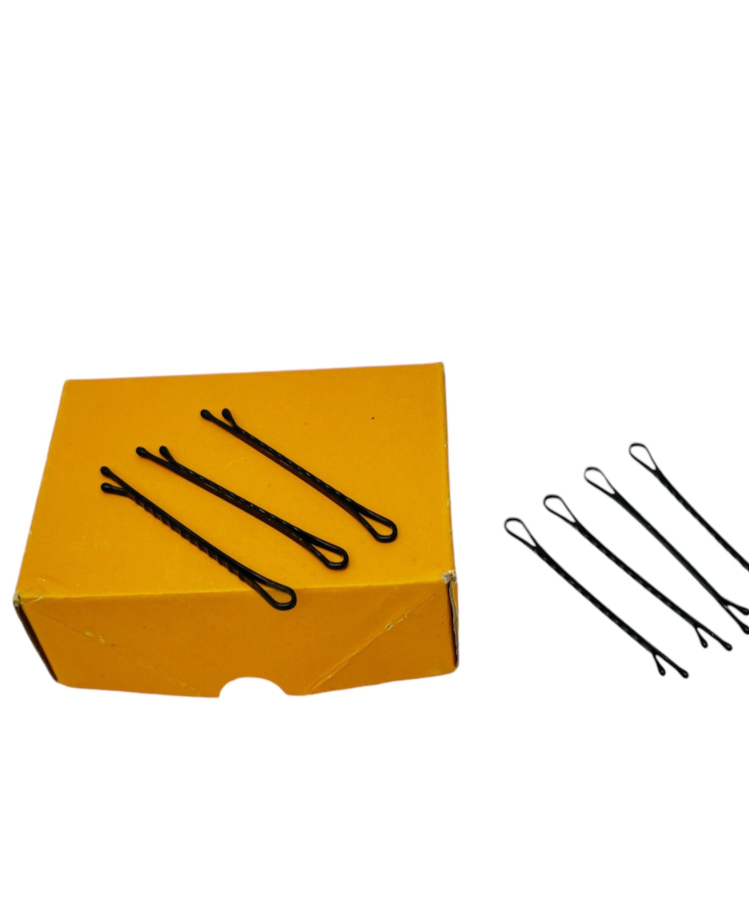 Bobby Pins Kit (100pcs)